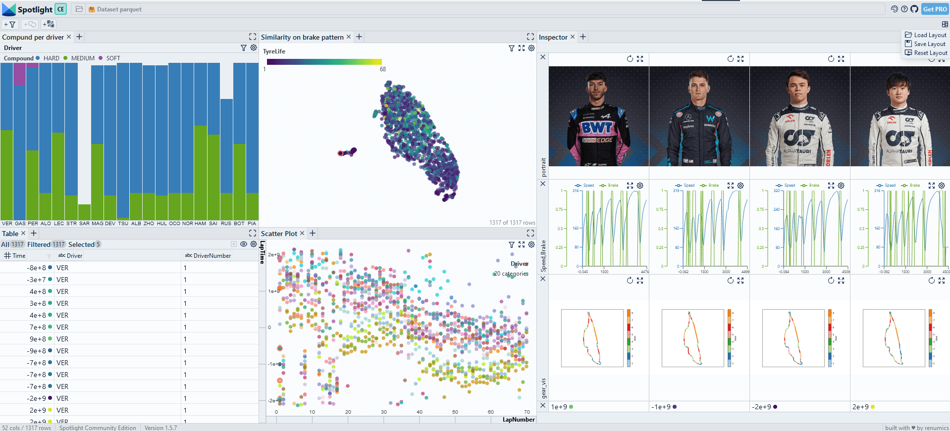 F1 Dataset Image